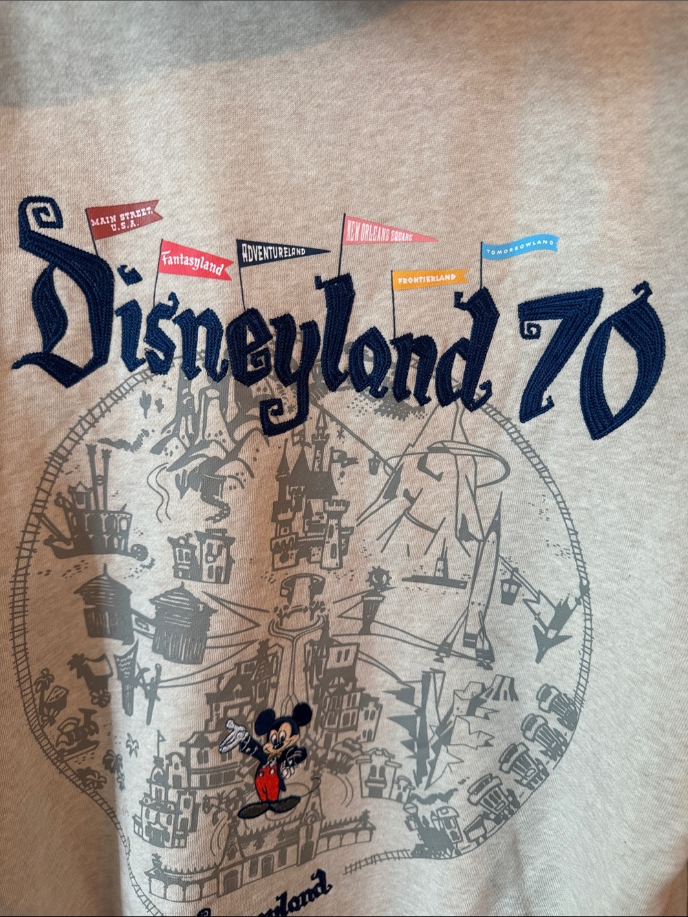 DLR 70th Anniversary Unisex Vault Collection Hoodie - Picture 9 of 9